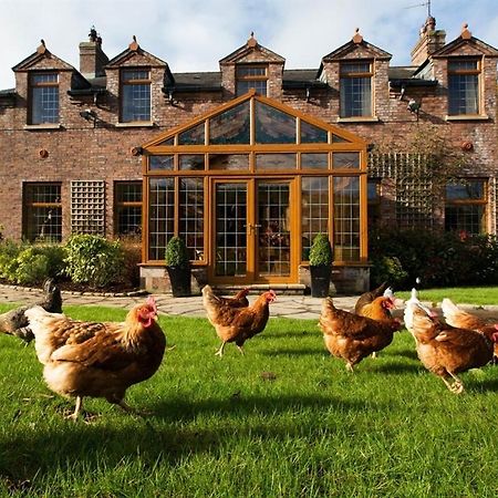 Blackwell House Banbridge Exterior foto